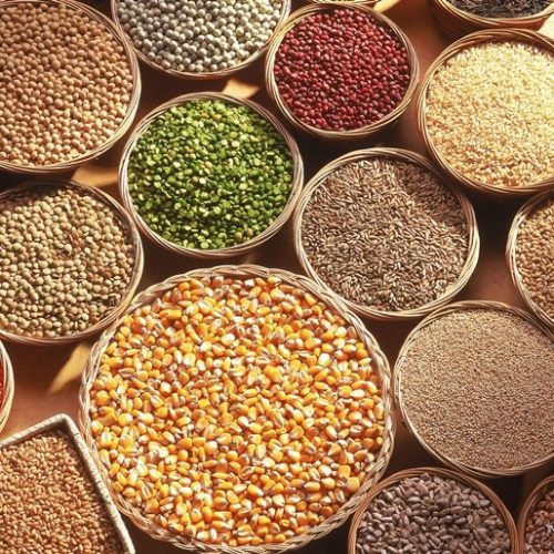 Market-Linkages-in-Millets Market-Linkages-in-Millets