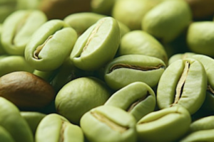 green-unroasted green-unroasted