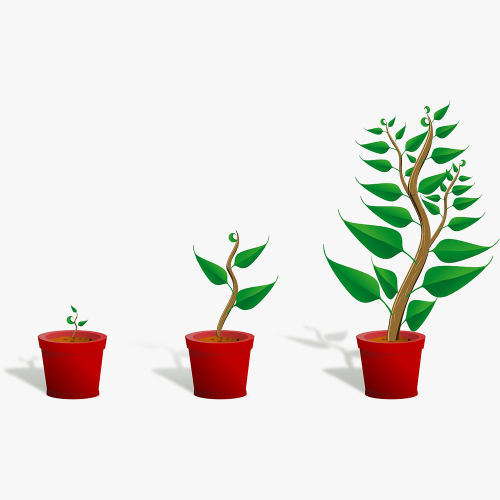 growth