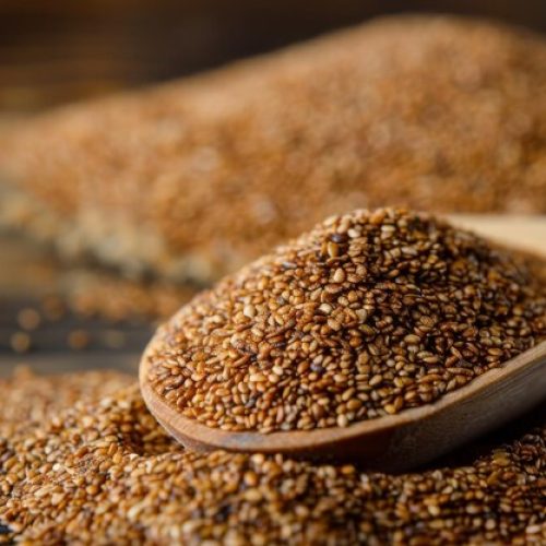 nutritious-teff-grain_971989-22582 nutritious-teff-grain_971989-22582
